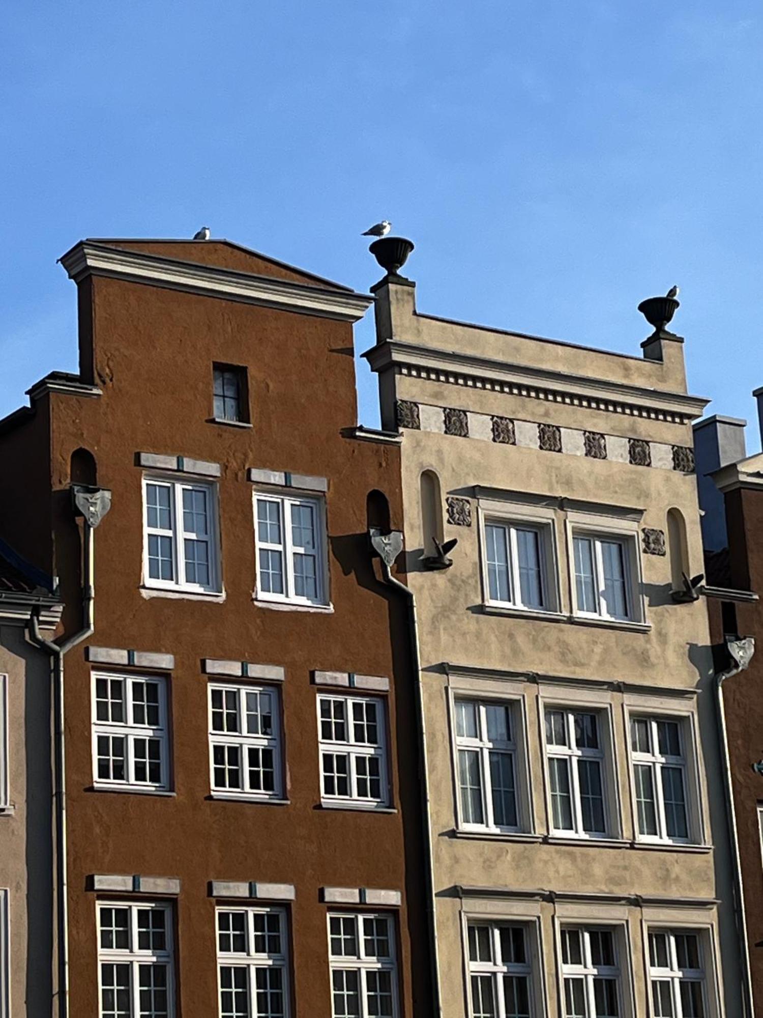 Grand Apartment - Old Town & City Center Danzig Exterior foto